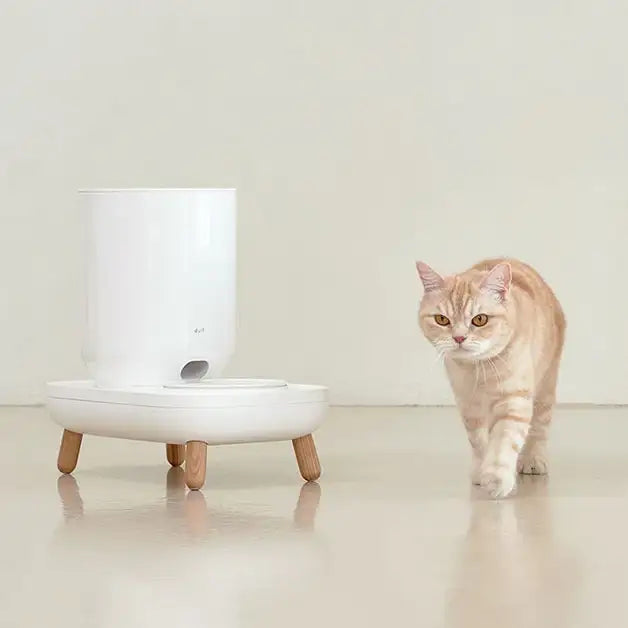 Duit - Pet The Table Plus - Duit - Home & Living, Accessories - Harumio
