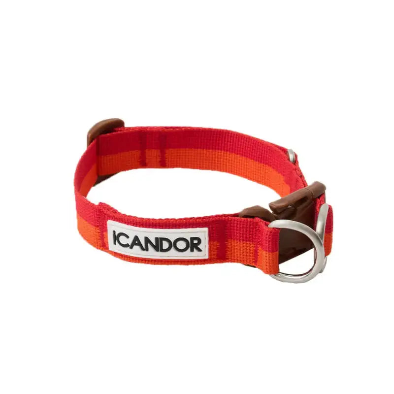 iCANDOR - Gentle Collar Dual - iCANDOR - Pet Collars - Harumio