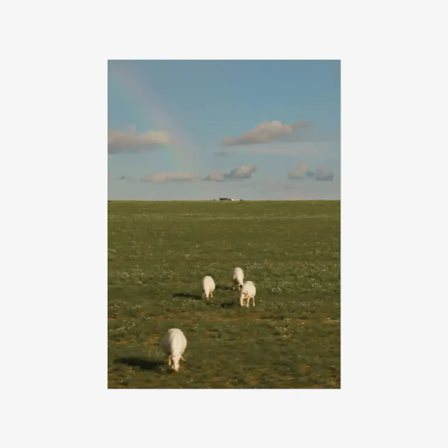 Hamss - Mongolia Peace A3 Poster - Marpple Shop - Poster - Harumio