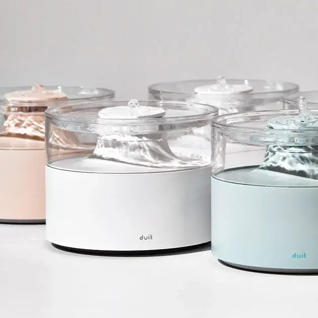Duit - Water Pot - Duit - Home & Living, Accessories - Harumio