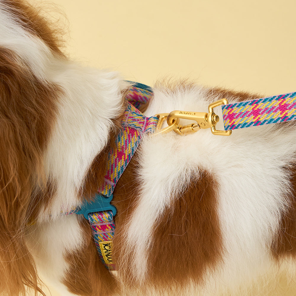 iCANDOR - No-Pull Harness (Edinburgh Check)