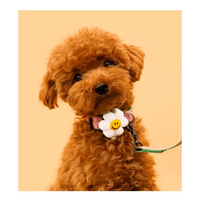 Wiggle Wiggle - Night Safety LED Pendant - Smile We Love - Wiggle Wiggle - Accessories - Harumio