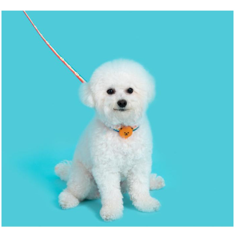 Wiggle Wiggle - Night Safety LED Pendant - Wiggle Bear