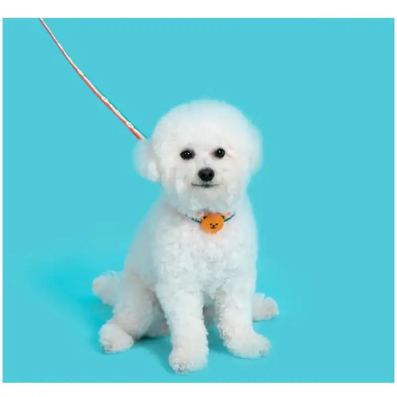 Wiggle Wiggle - Night Safety LED Pendant - Wiggle Bear - Wiggle Wiggle - Accessories - Harumio