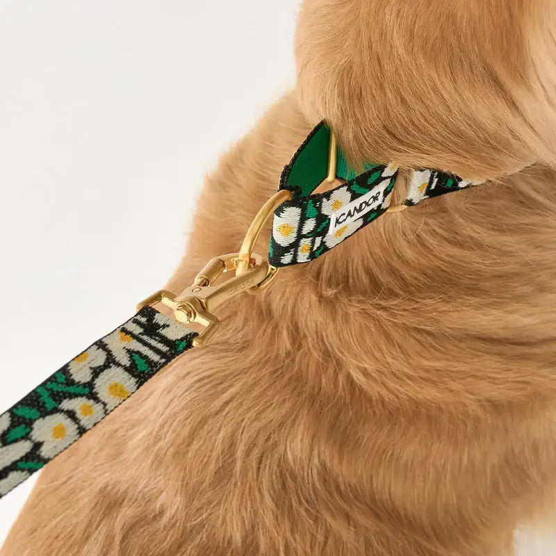 iCANDOR - Smooth Martingale Collar - iCANDOR - Pet Collars - Harumio