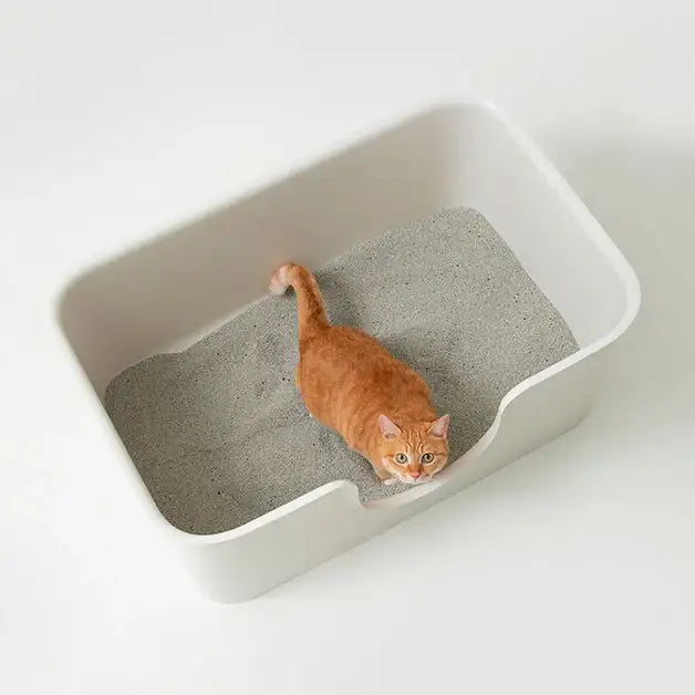 Duit - Poo Poo Long Box - Duit - Home & Living, Accessories - Harumio