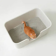 Duit - Poo Poo Long Box - Duit - Home & Living, Accessories - Harumio
