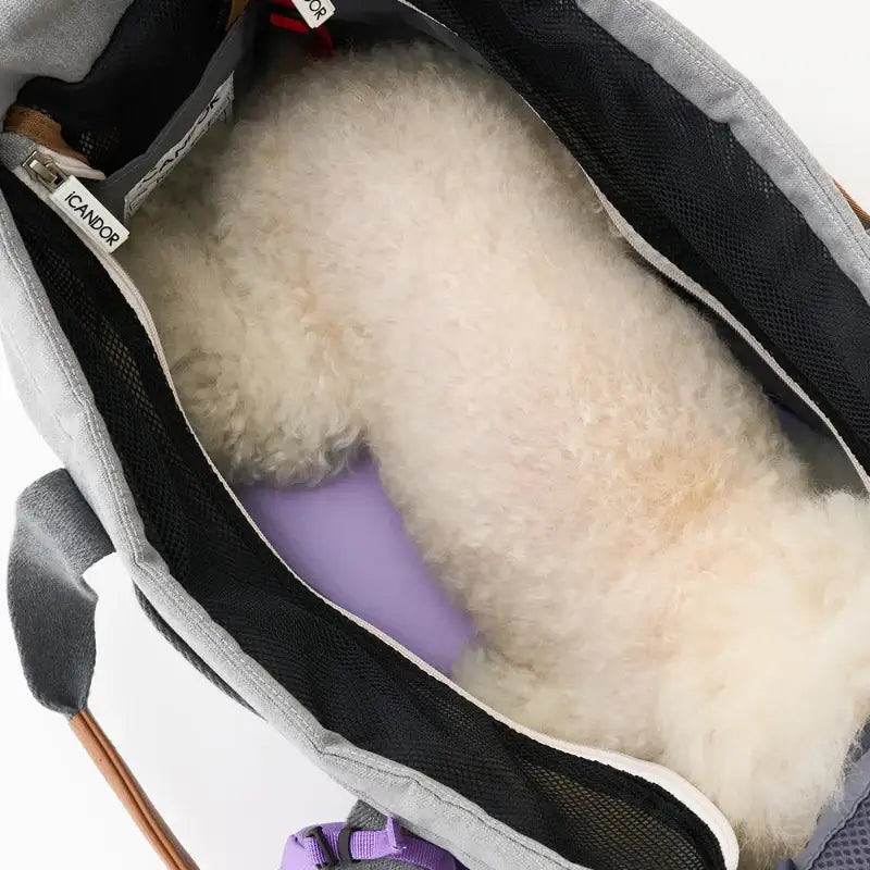 iCANDOR - Cozy Cushion - iCANDOR - Pet Cushion - Harumio