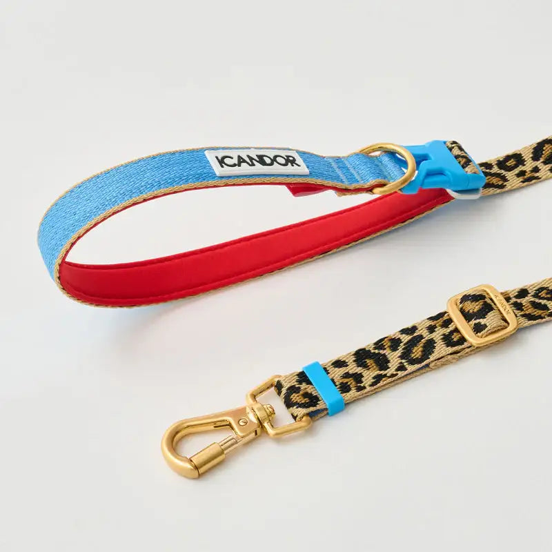 iCANDOR - Gentle Leash Bolt, Long - iCANDOR - Pet Lead - Harumio