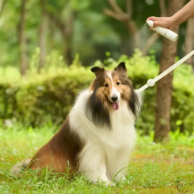 Duit - Pet Shield Mist - Duit - Home & Living, Accessories - Harumio