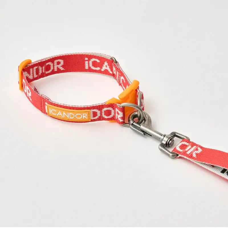 iCANDOR - Gentle Collar Dual - iCANDOR - Pet Collars - Harumio