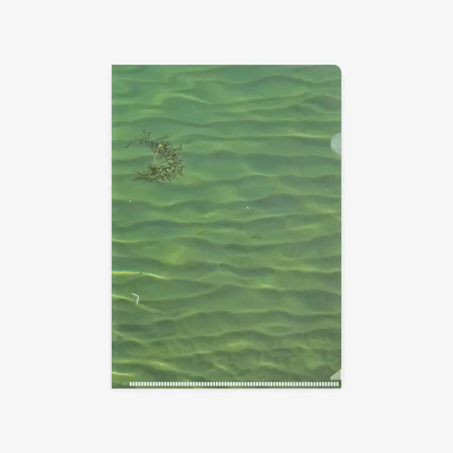 Muscid FACTORY - Sea Front L-Holder - Marpple Shop - L Holder - Harumio