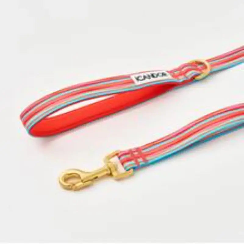 iCANDOR - Gentle Leash - iCANDOR - Pet Lead - Harumio
