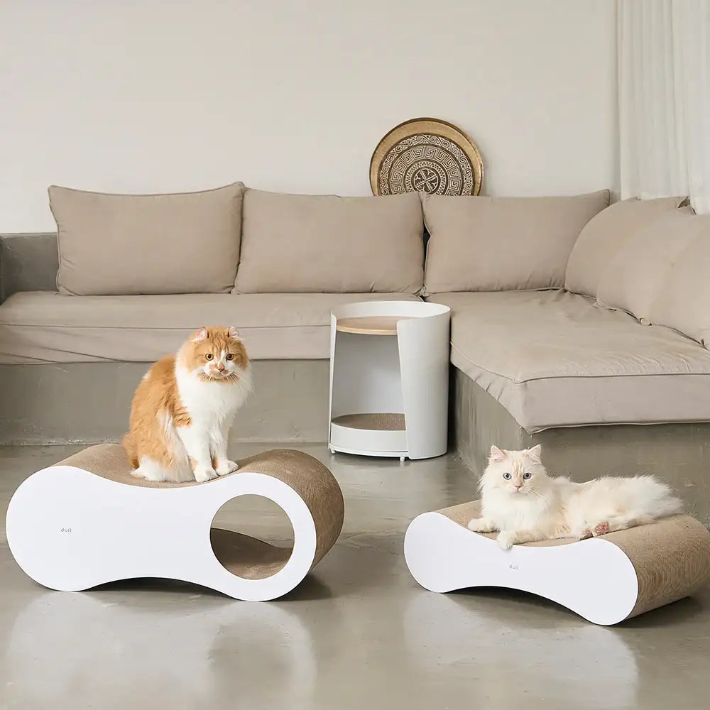 Duit - Pet Peanut Board - Duit - Home & Living, Accessories - Harumio