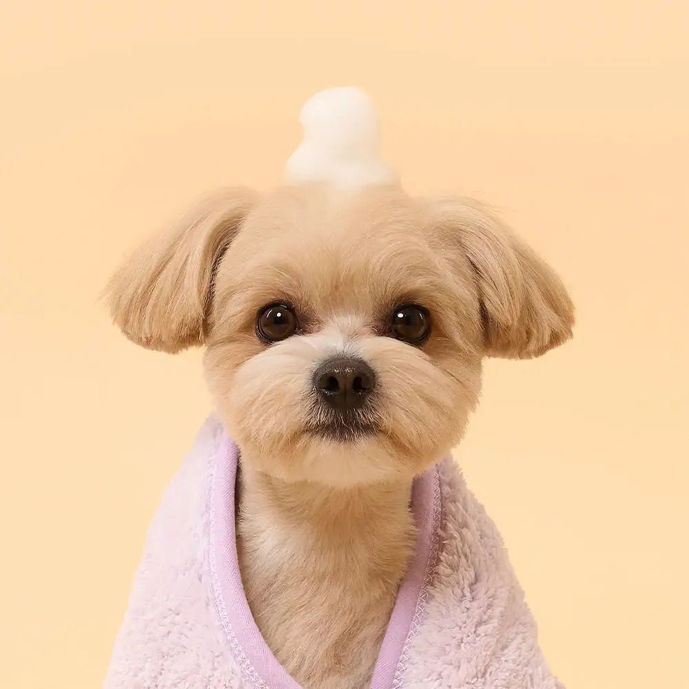 Duit - Pet Rich Foam Shampoo - Duit - Home & Living, Accessories - Harumio
