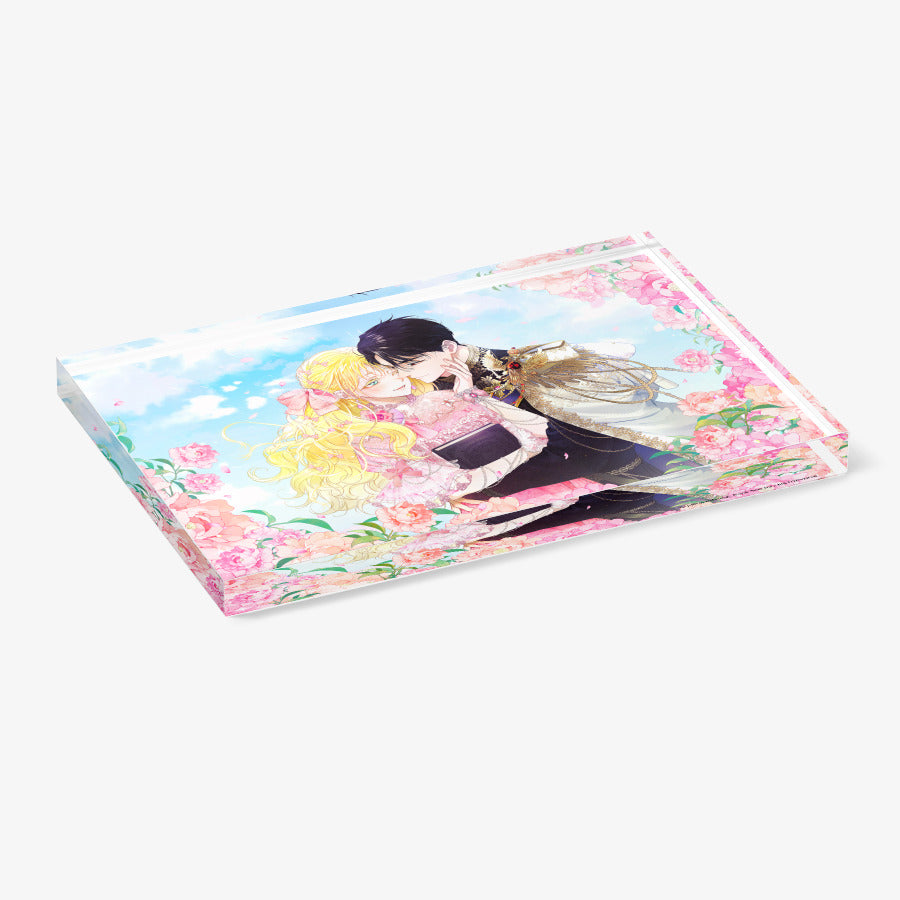 Anyone Beats the Original - Acrylic Block B