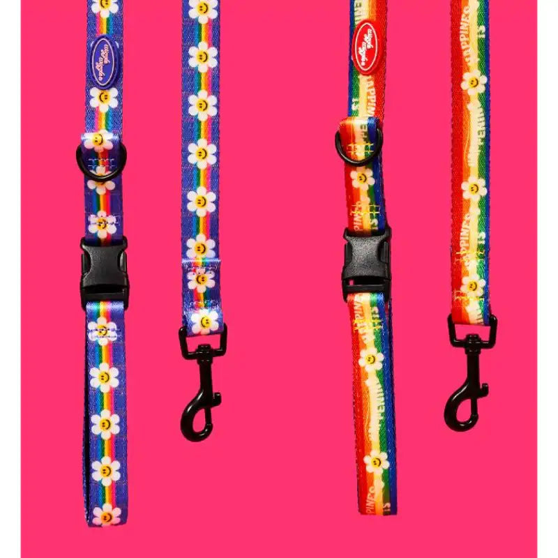 Wiggle Wiggle - Pet Leash - Wiggle Wiggle - Pet Accessories - Harumio