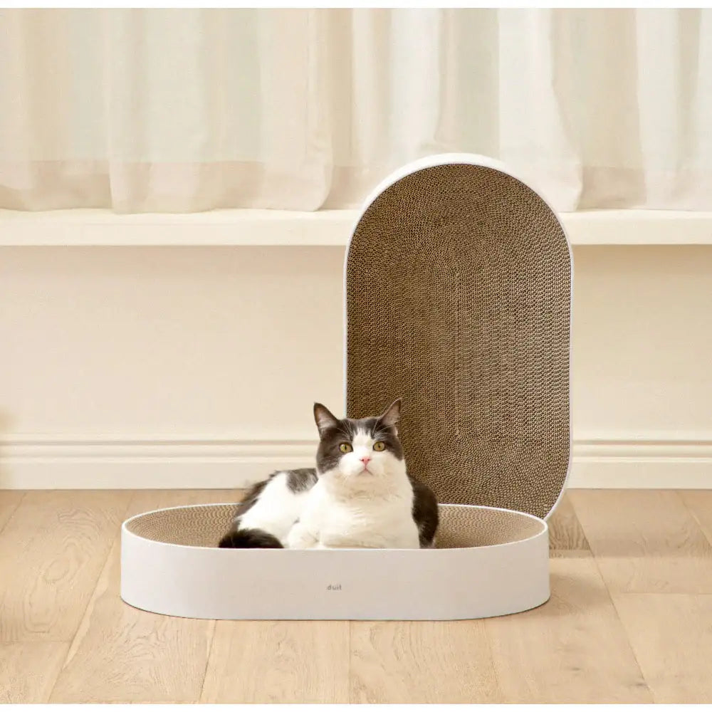 Duit - Pet All Day Board - Duit - Pet Carriers - Harumio