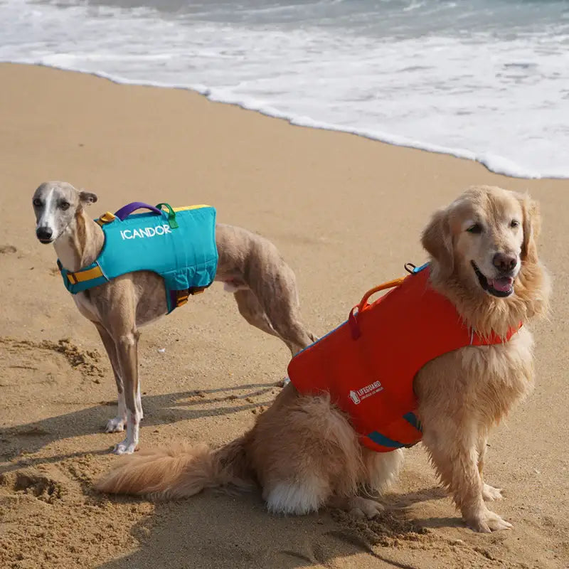 iCANDOR - Pawsaver Life Jacket - iCANDOR - Pet life Jackets - Harumio