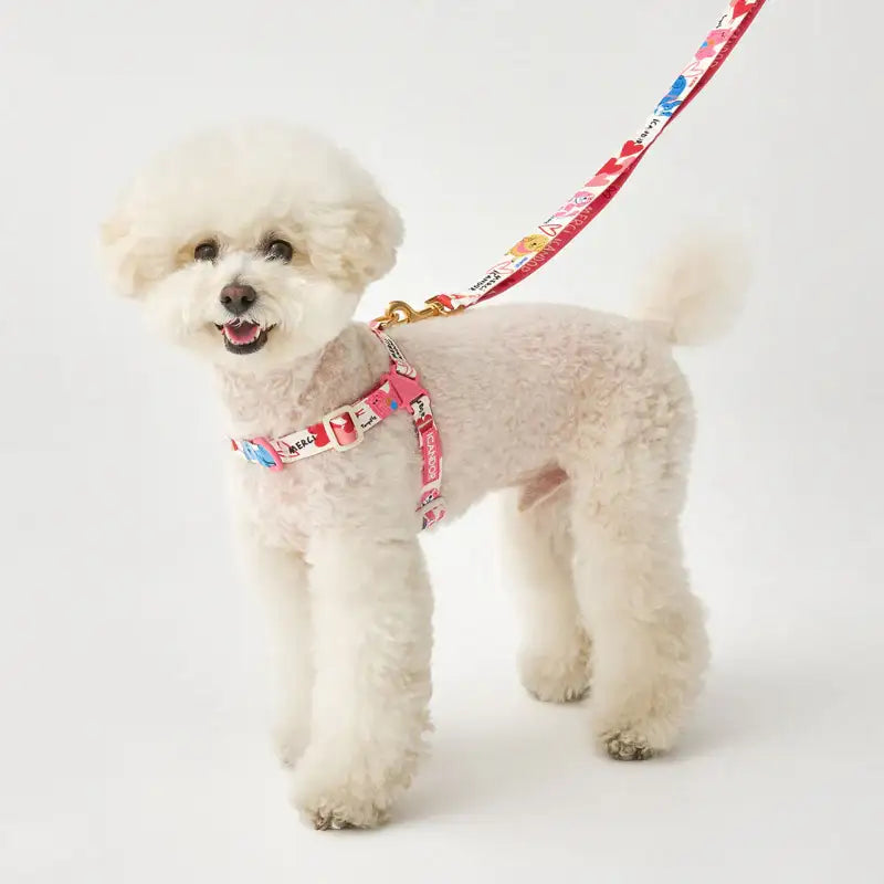 iCANDOR - Gentle Leash - iCANDOR - Pet Lead - Harumio