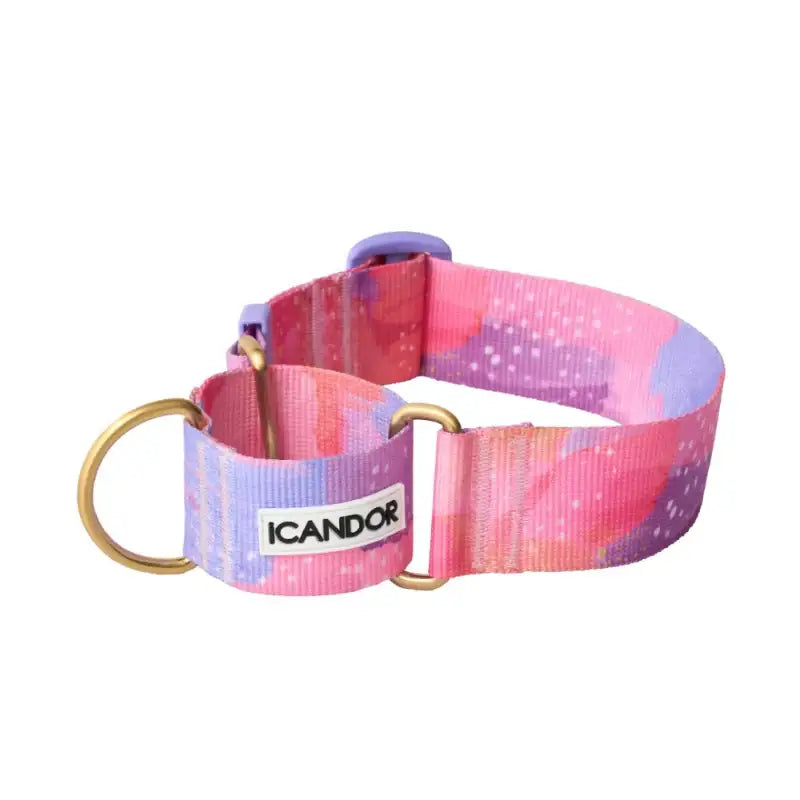 iCANDOR - Smooth Martingale Collar - iCANDOR - Pet Collars - Harumio