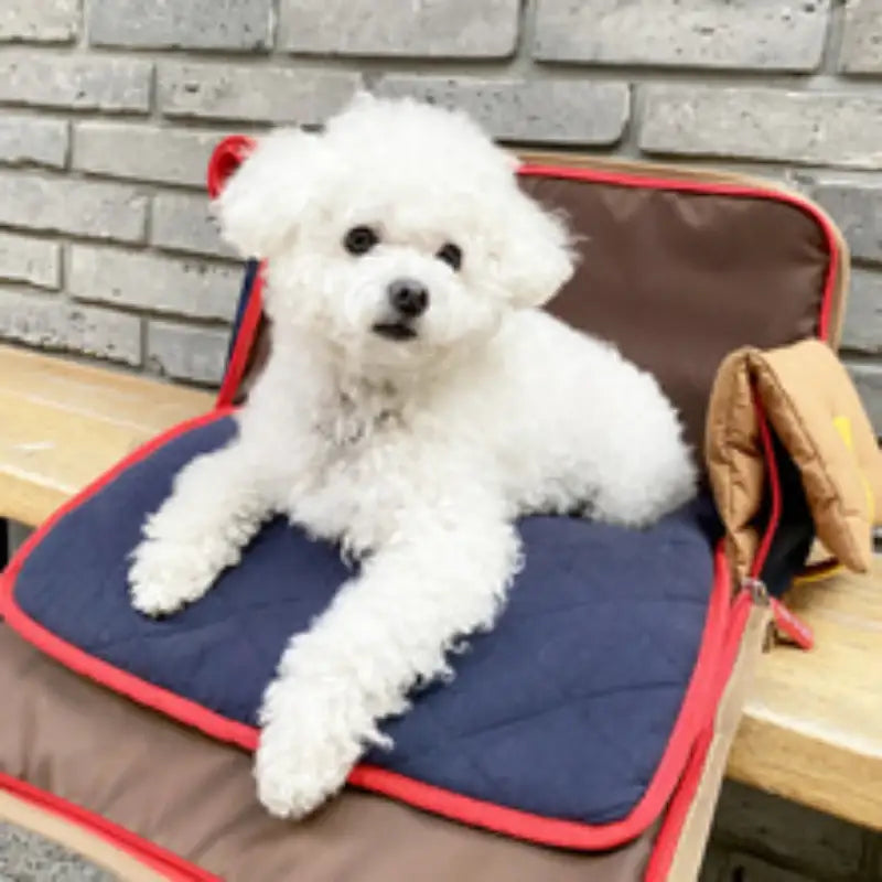 iCANDOR - Quilting Cushion - iCANDOR - Pet Cushion - Harumio