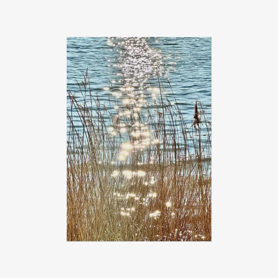 Ocean Garden - Twinkle Lake A3 Poster - Marpple Shop - Poster - Harumio