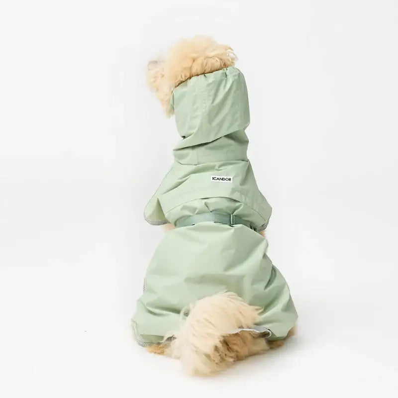 iCANDOR - Adventure Raincoat, Earth - iCANDOR - Pet Clothes - Harumio
