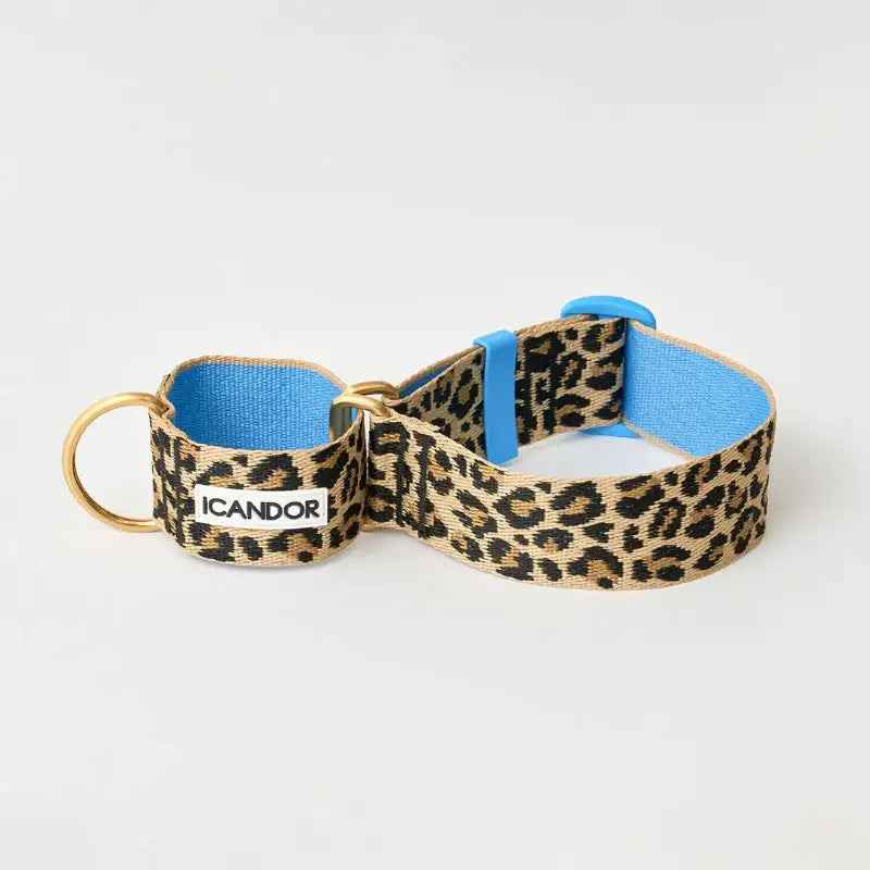 iCANDOR - Smooth Martingale Collar - iCANDOR - Pet Collars - Harumio