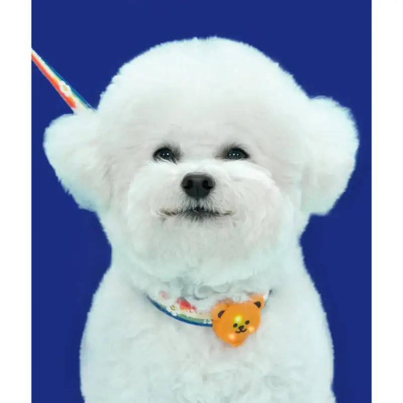 Wiggle Wiggle - Night Safety LED Pendant - Wiggle Bear - Wiggle Wiggle - Accessories - Harumio