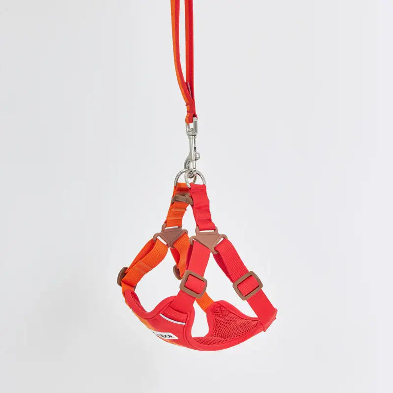iCANDOR - Snuggle Harness - iCANDOR - Pet Harness - Harumio