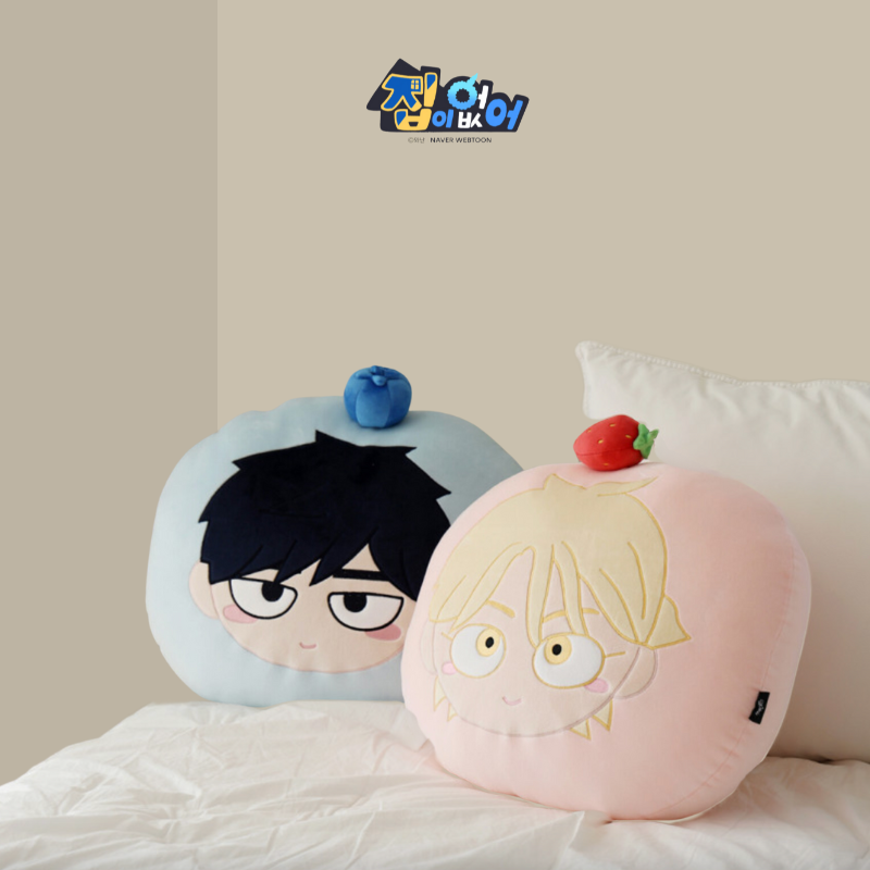 Homeless - Wang Il-geul Pillow of the Characters