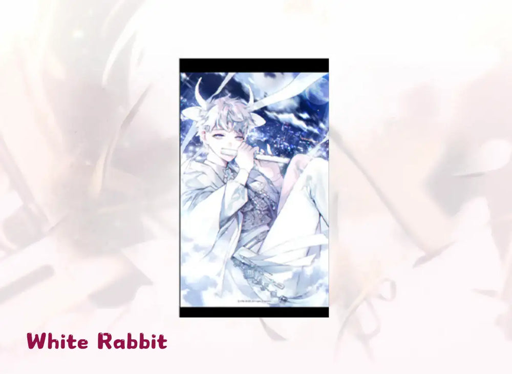 Mandrake Boys - Season Package (Spring Ver) - GOODSBEE - Merchandise - Harumio