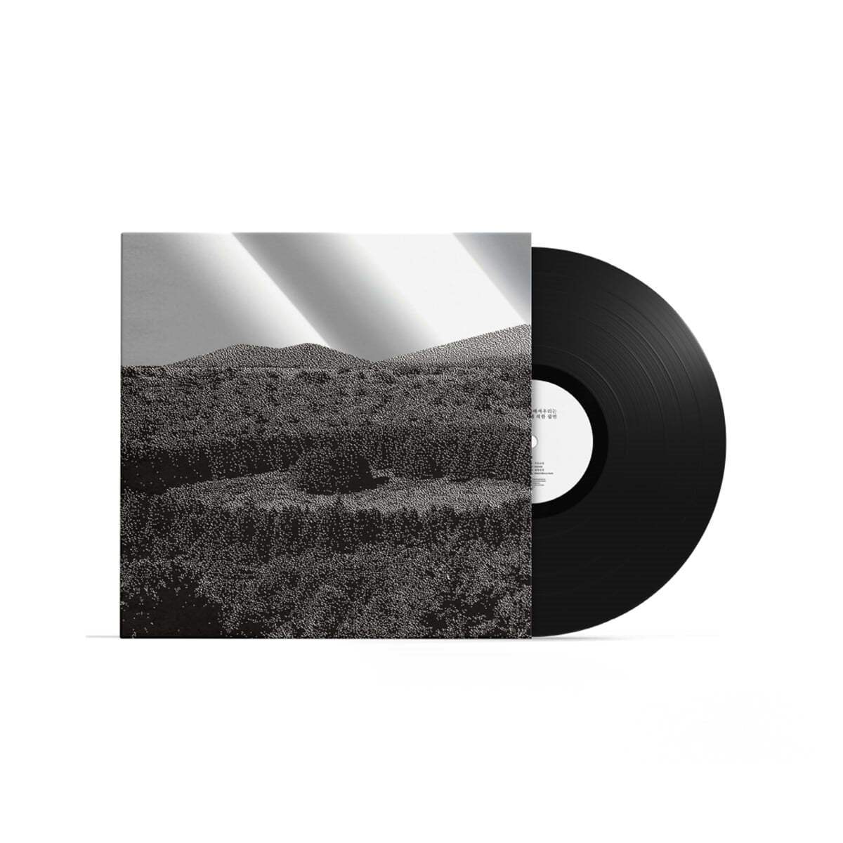 In the Endless Reverberation We - Inevitability By a Series of Coincidences (LP) - In the Endless Reverberation We - Album - Harumio