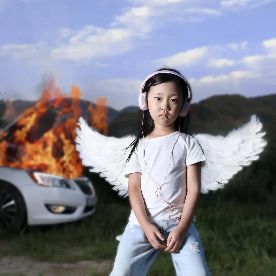 Car, The Garden - Harmony : 3rd Album - Car, The Garden - Album - Harumio