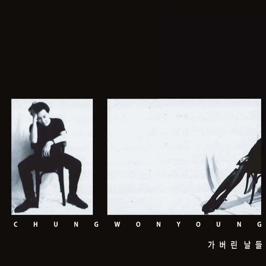 Wonyoung Won - The Days Gone : 1st Album (LP) - LP Flex - Album - Harumio