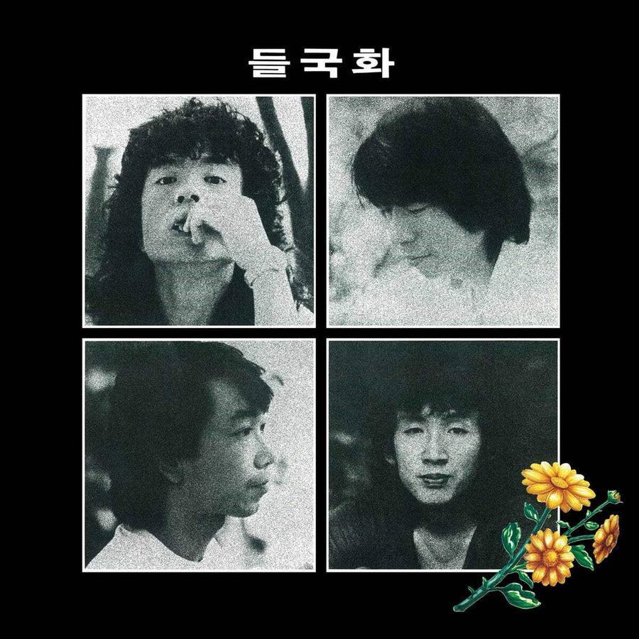 Deulgukhwa (Wild Chrysanthemum) - Wild Chrysanthemum : Vol. 1 (LP) - The Open Music - Album - Harumio