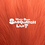 Zior Park - Where Does SASQUATCH Live? (CD) - Warner Music / Beautiful Noise - Album - Harumio