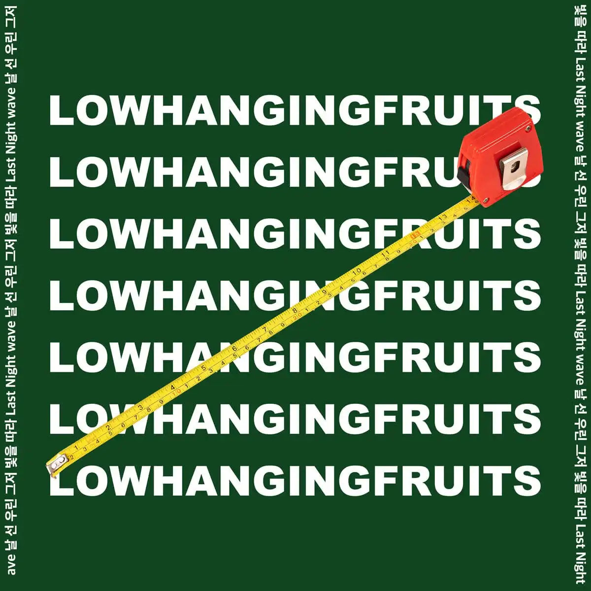 Low Hanging Fruits - Today From Past Days - Low Hanging Fruits - Album - Harumio