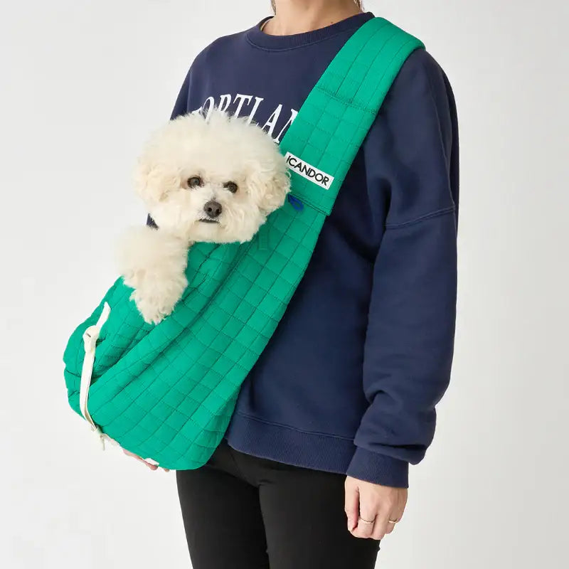iCANDOR - Guard Cushion - iCANDOR - Pet Cushion - Harumio