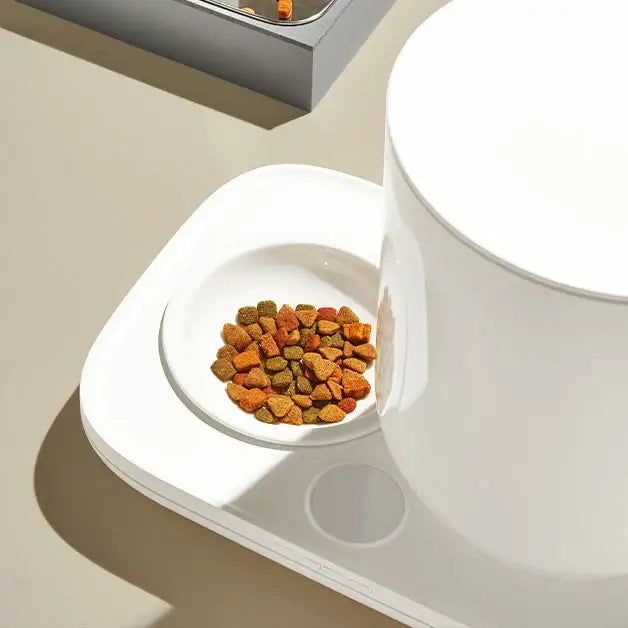 Duit - Pet The Table - Duit - Home & Living, Accessories - Harumio