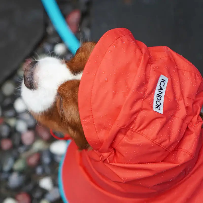 iCANDOR - Adventure Raincoat_Earth - iCANDOR - Pet raincoat - Harumio