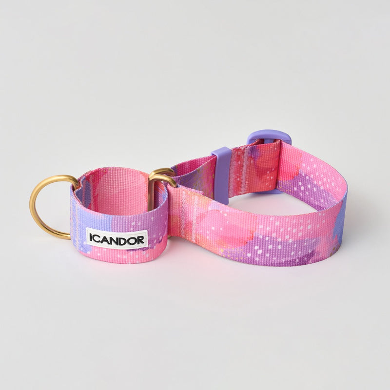 iCANDOR - Smooth Martingale Collar