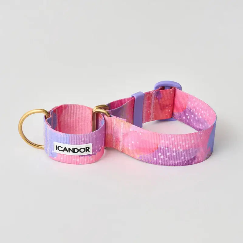 iCANDOR - Smooth Martingale Collar - iCANDOR - Pet Collars - Harumio