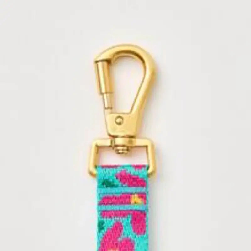 iCANDOR - Gentle Leash Bolt - iCANDOR - Pet Lead - Harumio