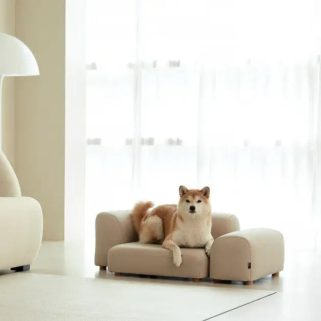 Duit - Pet Modular Steps - Duit - Pet Steps - Harumio