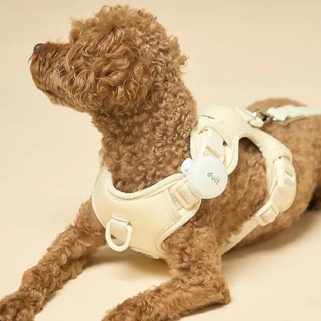 Duit - Pet Body Fit Harness - Duit - Home & Living, Accessories - Harumio