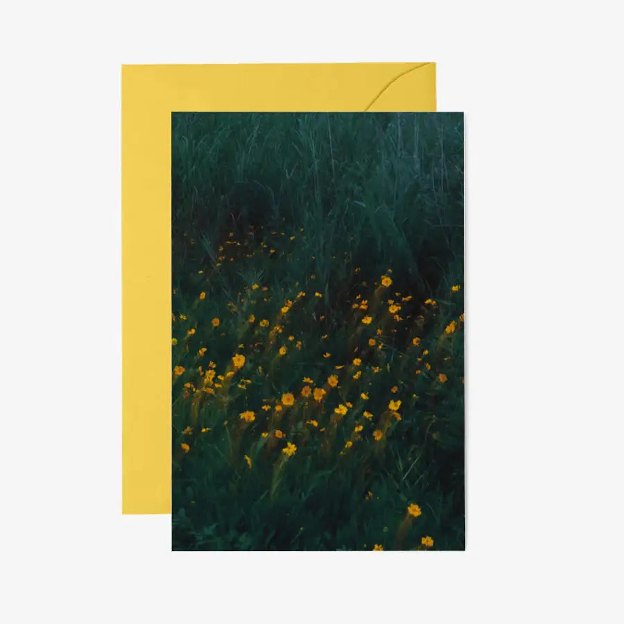 Kim Ji Neok - Flower Postcard & Envelope Set - Marpple Shop - Postcard - Harumio