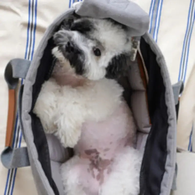 iCANDOR - Fluffy Cushion - iCANDOR - Pet Cushion - Harumio
