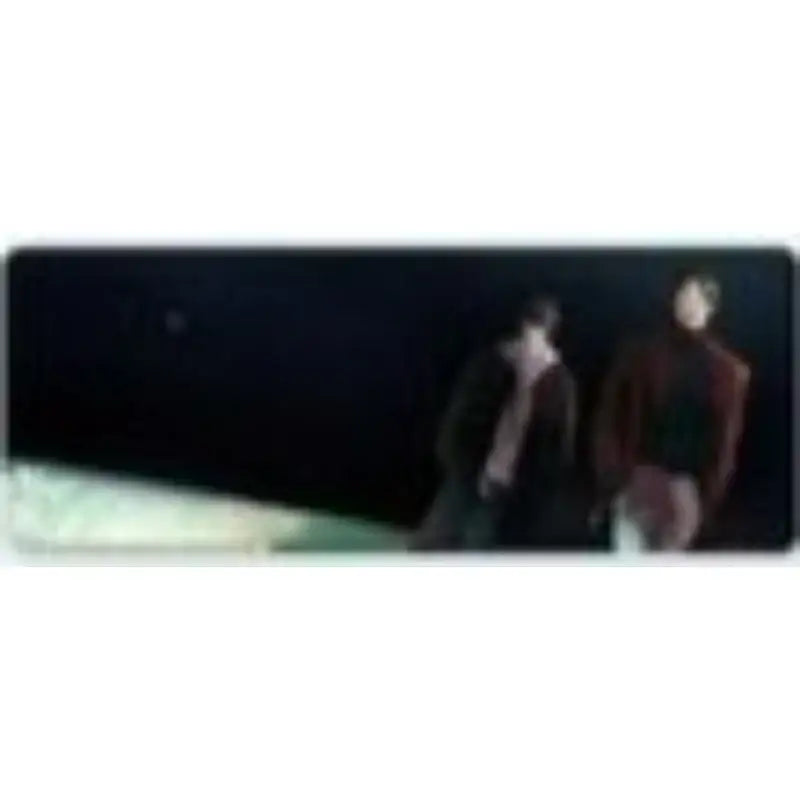 The Last Step on the Way - Long Pad - PolarFox - Long Pad - Harumio
